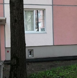 Продажа 2-комн квартиры на вторичном рынке Светлановский пр-кт,  д. 119