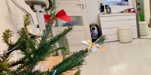 2-комн квартира Ломоносов, улица Скуридина, 3