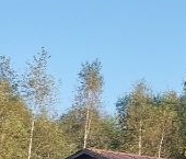 Продать Дачи, коттеджи, загородные дома Посадников остров садоводческий массив, Изобилие СНТ, улица 7-я  416 