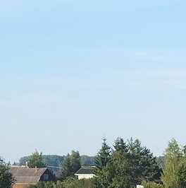 Продажа земли Гутлов Ручей СНТ, 1-я линия Продажа земли Гутлов Ручей СНТ, 1-я линия