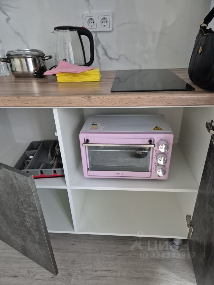 Аренда студии пос. Шушары, проспект Старорусский, 5к1