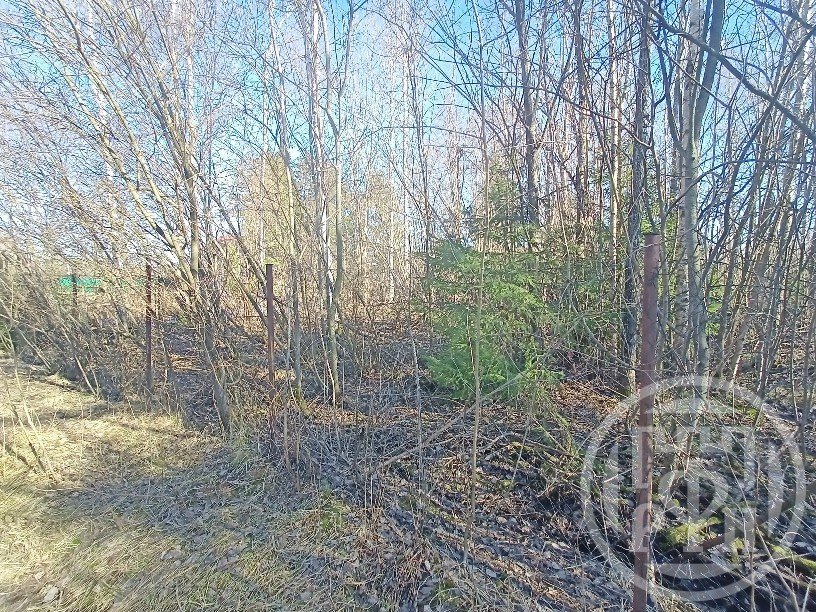 Продажа земли Корнево массив,  д. 240