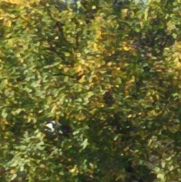 Продажа 1-комн квартиры на вторичном рынке Мечта кп, с. Озерецкое, бульвар Мечта, 10 Продажа 1-комн квартиры на вторичном рынке Мечта кп, с. Озерецкое, бульвар Мечта, 10