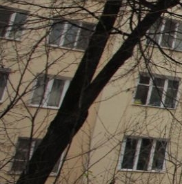 Продажа комнаты Басманная Н. ул Продажа комнаты Басманная Н. ул