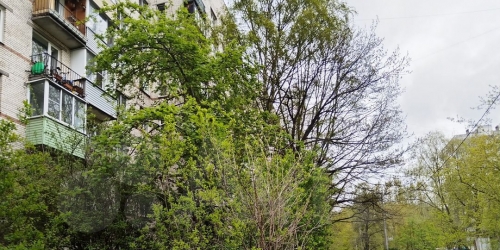 Комната улица Стойкости,  д. 15