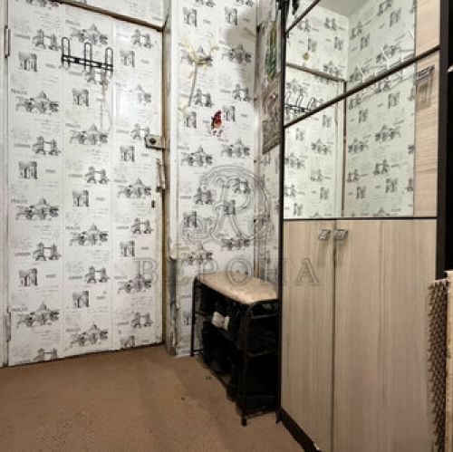 1-комн квартира Богородский городской округ, улица Энтузиастов,  д. 9