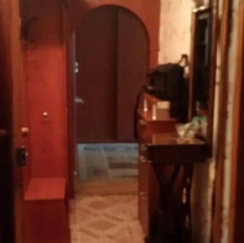 2-комн квартира Разметелево, ул ПТУ-56,  д. 3