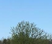 Продать Земельные участки, земля д. Новая Буря, улица Шоссейная, 29   