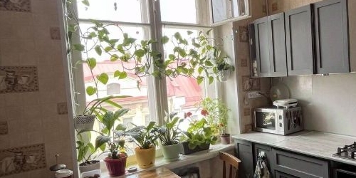 4-комн квартира проспект Добролюбова, 2