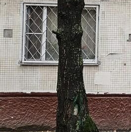 Продажа 2-комн квартиры на вторичном рынке проезд Шокальского, 59К2