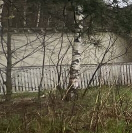 Продажа дома Проба массив, 124