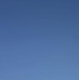 Продажа дома Пустынька СНТ Продажа дома Пустынька СНТ