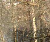 Продать Квартиры вторичка Приморск, набережная Лебедева   