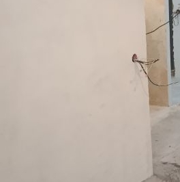 Продажа 2-комн квартиры на вторичном рынке Кетчерская улица, 2К3 Продажа 2-комн квартиры на вторичном рынке Кетчерская улица, 2К3