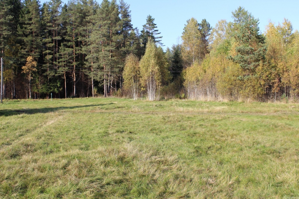 Продажа земли Линдуловская дорога,  д. 23,  к. А