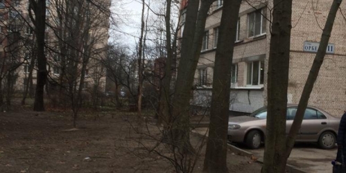 3-комн квартира Орбели ул. ,  д. 11