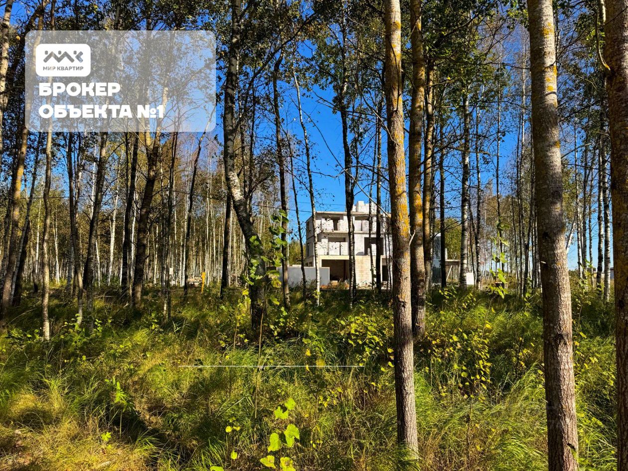 Продажа земли Павловск, Березовая улица