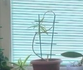 Продать Квартиры вторичка Люблинская улица, 35К1   