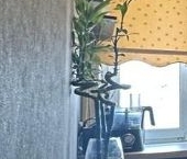 Продать Квартиры вторичка проспект Сизова, 34/18   