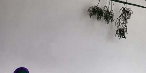 2-комн квартира Приозерск, улица Гагарина, 6