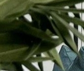 Продать Квартиры вторичка Видное, бульвар Зеленые аллеи, 11   