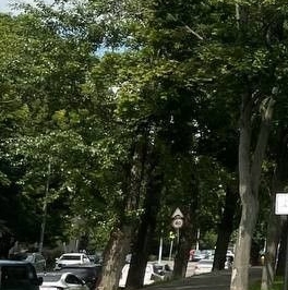 Продажа студии Малахитовая улица, 27Б Продажа студии Малахитовая улица, 27Б