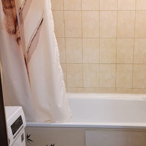 1-комн квартира Южный мкр, улица Курыжова, 15к3