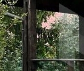 Продать Дачи, коттеджи, загородные дома Березовая Роща садоводческий массив, Березовая Роща СНТ, 6-я линия   