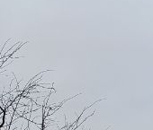 Продать Квартиры вторичка Лобня, Фестивальная улица  8к2 