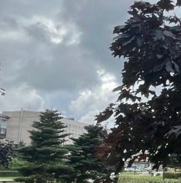 Продажа 1-комн квартиры на вторичном рынке Ломоносов, Александровская улица, 30 Продажа 1-комн квартиры на вторичном рынке Ломоносов, Александровская улица, 30