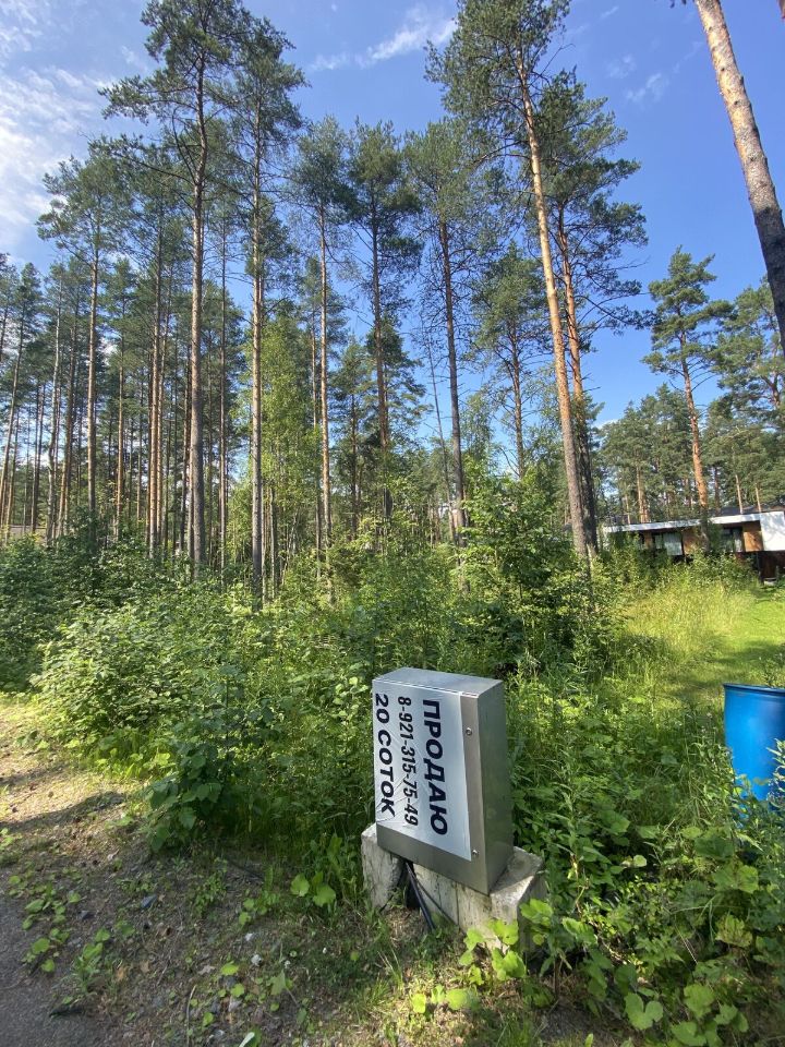 Продажа земли Варколово кп, улица Центральная
