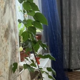 Аренда 1-комн квартиры на вторичном рынке Дзержинский, Дзержинская улица, 21