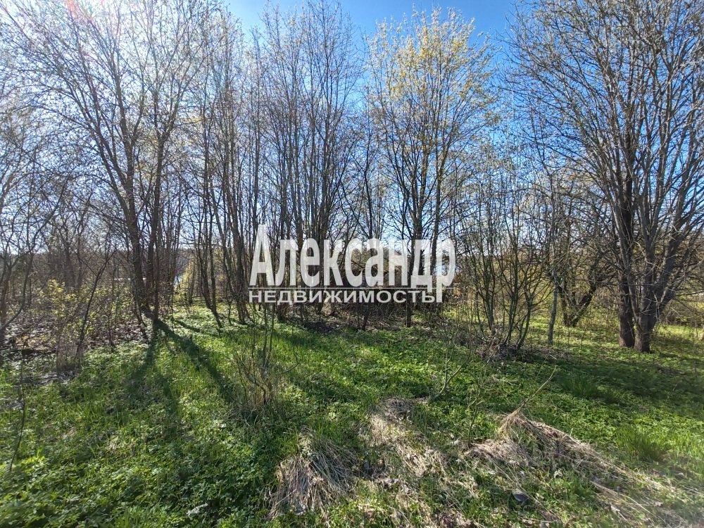 Продажа земли д. Поддубье, улица Озерная, 2