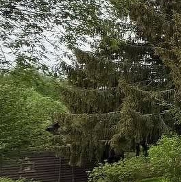 Продажа дома д. Кизлярское, 8