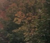 Продать Квартиры вторичка улица Савушкина, 128к1   