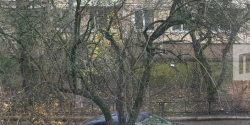 1-комн квартира Новоизмайловский проспект, 20К1