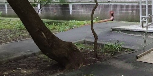 3-комн квартира улица 26 Бакинских Комиссаров, 3к1