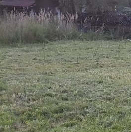 Продажа земли Лира СНТ Продажа земли Лира СНТ