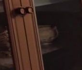 Сдать в аренду Квартиры вторичка Подольск, улица Маштакова, 11   