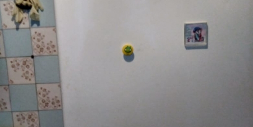 Коттедж/дом Ленинградская область, деревня Скворицы,  д. 15