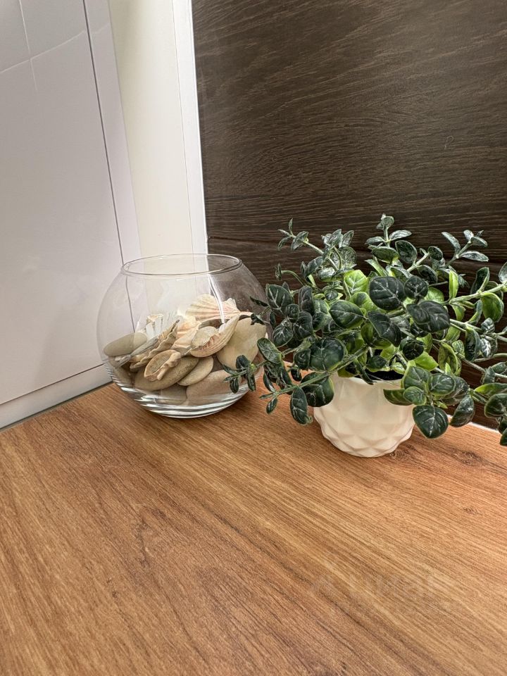 Аренда студии проспект Ветеранов, 173к1