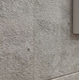 Продажа 2-комн квартиры на вторичном рынке Купчинская улица, 10К2 Продажа 2-комн квартиры на вторичном рынке Купчинская улица, 10К2