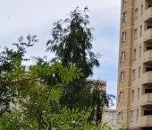 Продать Квартиры вторичка Свердловский пгт, улица Заречная, 3   