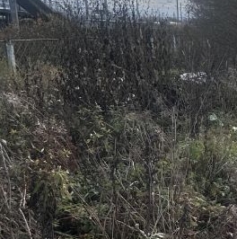 Продажа дома пос. Тосно-2, Тосно г., улица Саблинская