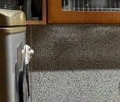 Сдать в аренду Квартиры вторичка Светлановский проспект, 70К1   