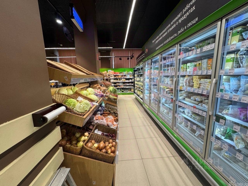 Аренда ПСН Кутузовский пр-кт