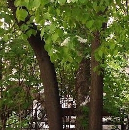 Продажа 1-комн квартиры на вторичном рынке набережная Реки Мойки, 104 Продажа 1-комн квартиры на вторичном рынке набережная Реки Мойки, 104