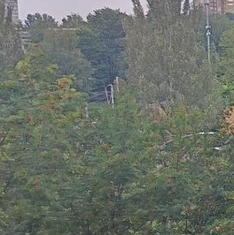 Продажа 3-комн квартиры на вторичном рынке Ногинск, улица Юбилейная, 8 Продажа 3-комн квартиры на вторичном рынке Ногинск, улица Юбилейная, 8