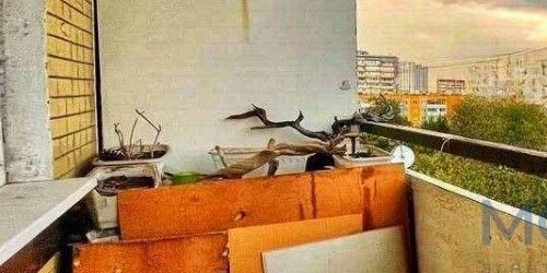 1-комн квартира Елецкая улица, 8К1