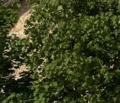 Продать Дачи, коттеджи, загородные дома Юкки-Сити кп, 26   